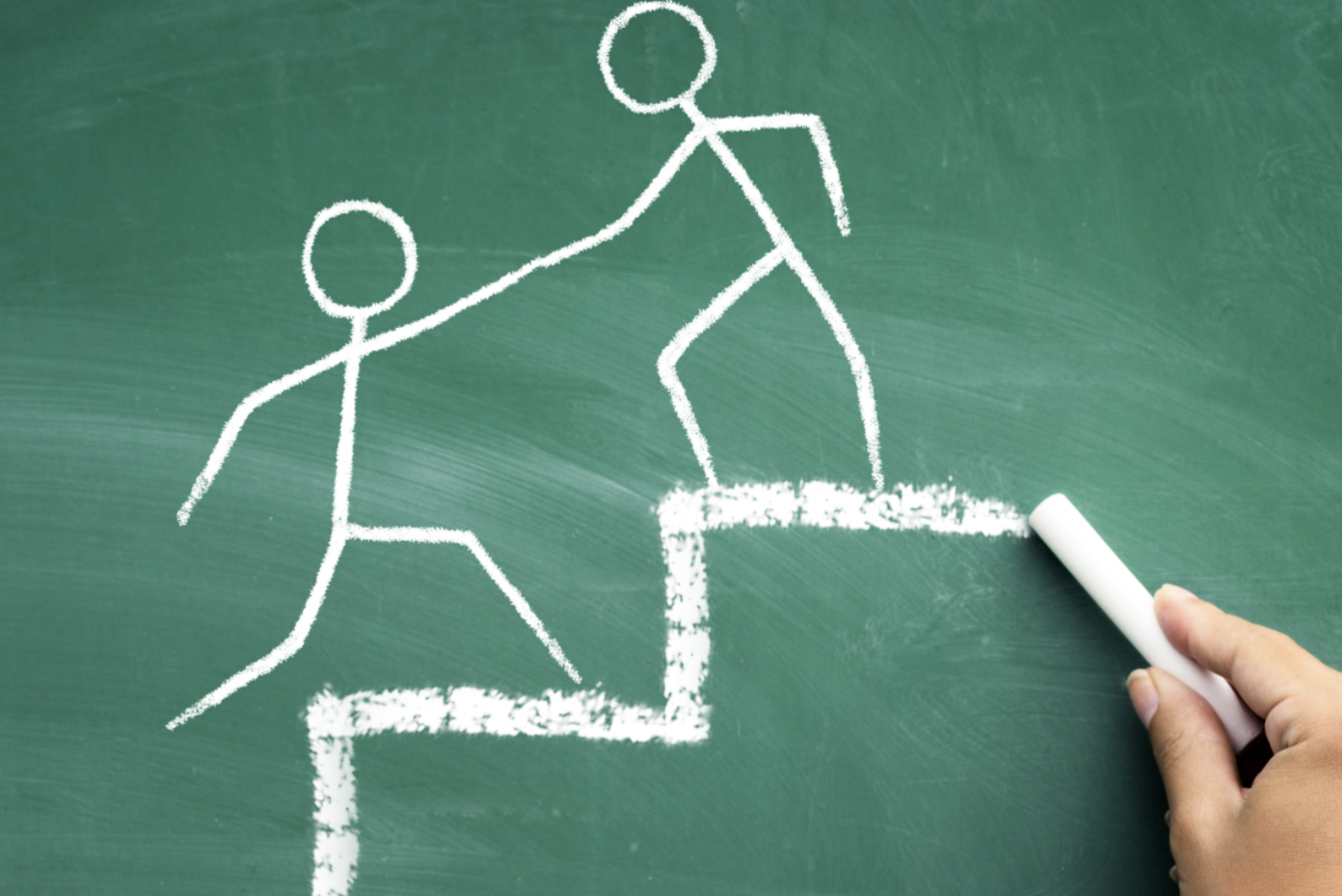 Il percorso formativo